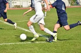 赵薇撤资多,企业,事件进展引,天博体育平台,天博体育官方网站,天博体育登录入口,天博体育app下载