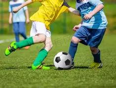 主场优势能,否助火箭一,飞冲天,天博体育平台,天博体育官方网站,天博体育登录入口,天博体育app下载