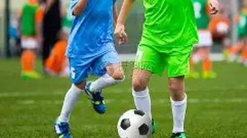 月仙凌晨遭遇车祸，目击者揭露现场惨状：骆驼内脏散落一地