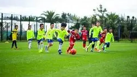 天博体育 资讯 085459 drh