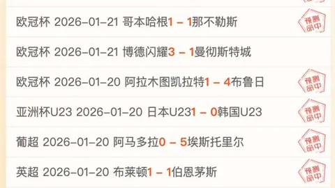 门希克问鼎荣耀：独占鳌头，击败弗里茨、德约等顶级网球高手