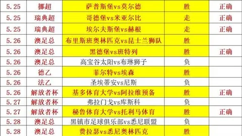 2026前瞻天博体育直播：飞哥详解系列20中第15个模型的最新动态